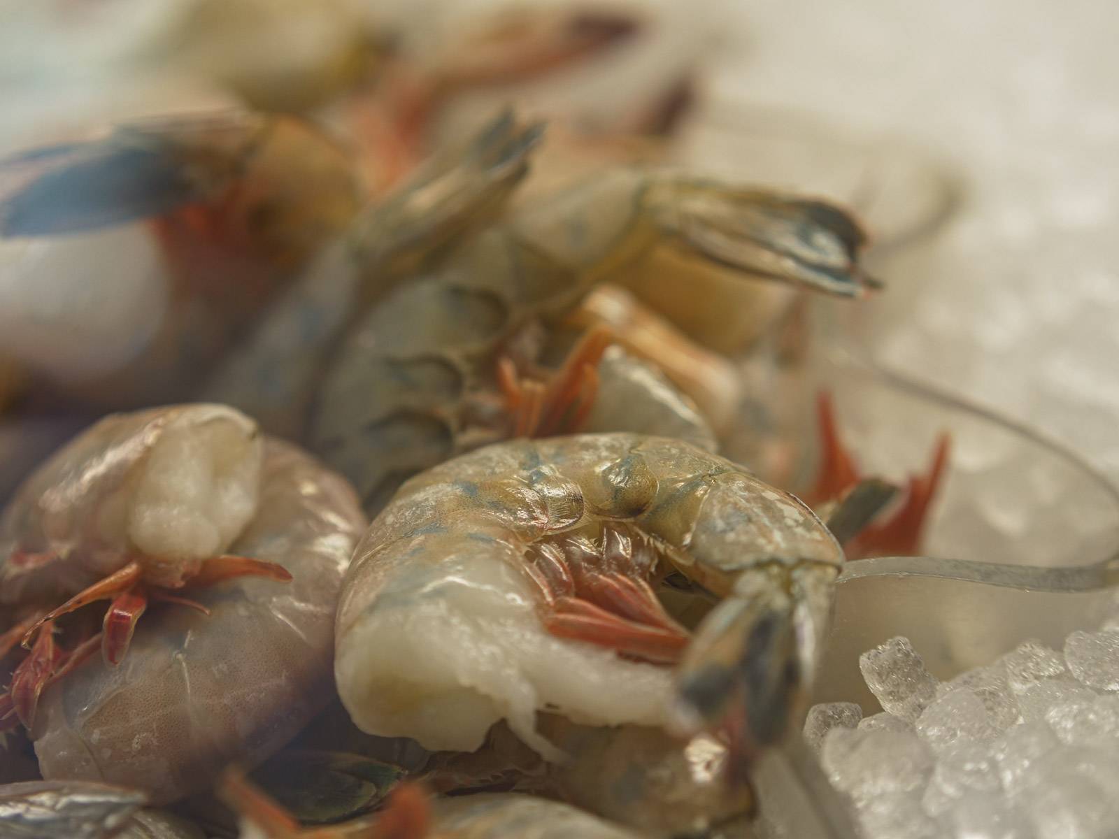 Seafood Market Mike's Seafood